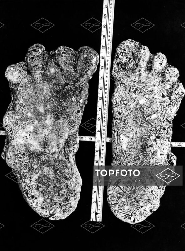 Bigfoot: What Does The New 2025 Evidence Really Tell Us? 4 348747