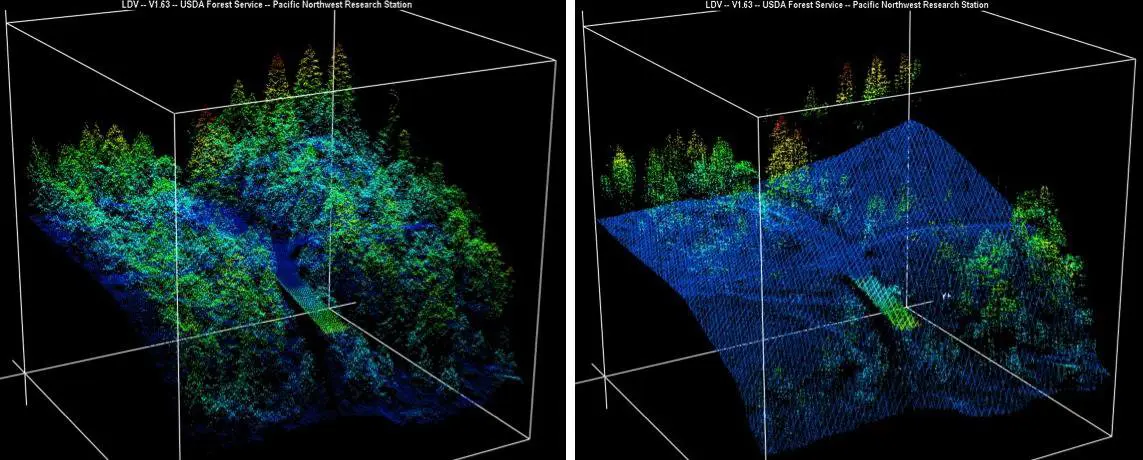 Bigfoot: What Does The New 2025 Evidence Really Tell Us? 15 Before and After LIDAR