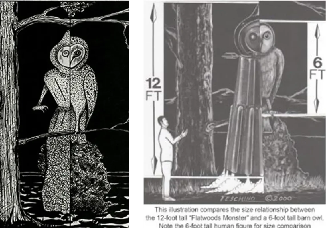 Flatwoods Monster: The Complete West Virginia Alien Guide 10 Flatwoods Monster vs Barn Owl comparison