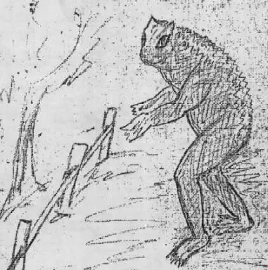 The Loveland Frog: 4 Police Sightings, 2 Theories, and 1 Unsolved Ohio Mystery 6 Loveland Frog sketch recreation