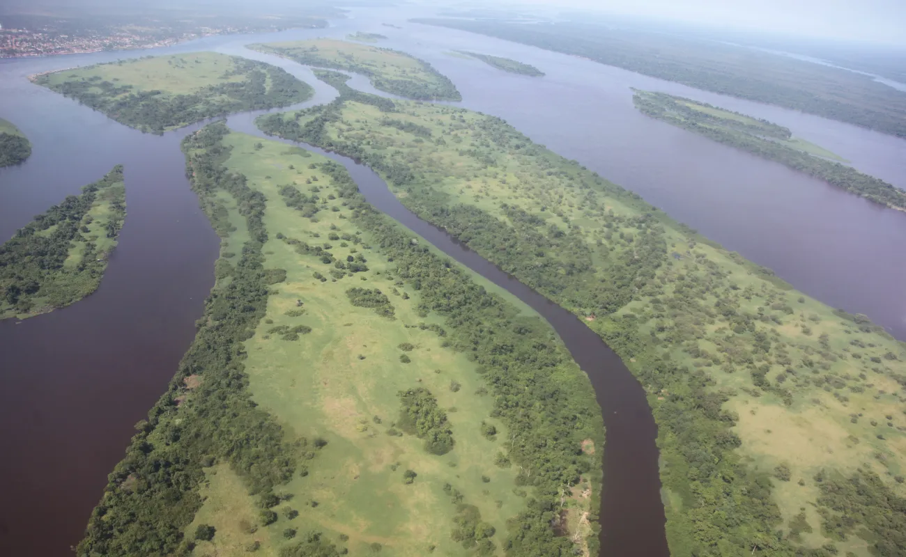 5 Reasons Mokele-mbembe Could Be The Last Survivor 4 Aerial view of the Congo Basin showing the density of the canopy and the winding rivers.