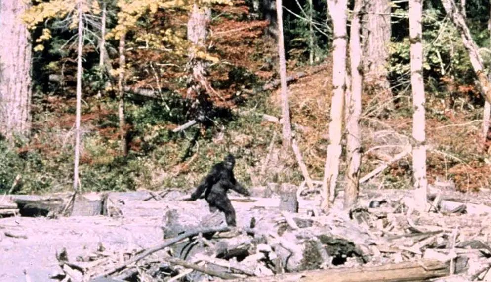 A Cryptozoologist's Field Guide: The A-Z of 50+ Legendary Cryptids 15 Bigfoot