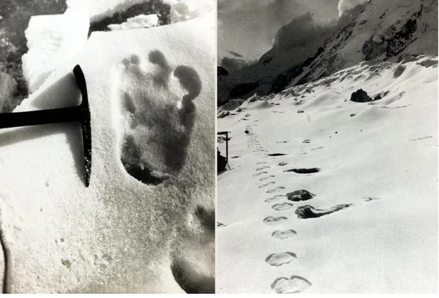 A Cryptozoologist's Field Guide: The A-Z of 50+ Legendary Cryptids 17 Eric Shipton Yeti footprint photo recreation