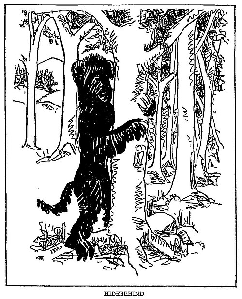 A Cryptozoologist's Field Guide: The A-Z of 50+ Legendary Cryptids 52 Hidebehind