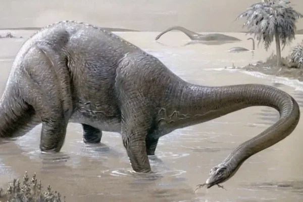 A Cryptozoologist's Field Guide: The A-Z of 50+ Legendary Cryptids 8 Mokele-Mbembe