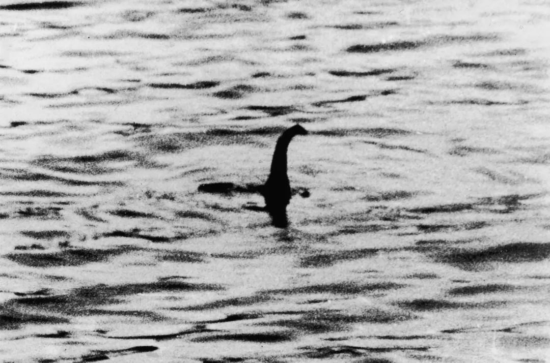 A Cryptozoologist's Field Guide: The A-Z of 50+ Legendary Cryptids 4 Nessie