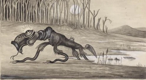 A Cryptozoologist's Field Guide: The A-Z of 50+ Legendary Cryptids 12 The Bunyip