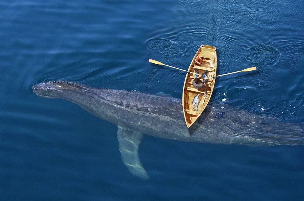 A Cryptozoologist's Field Guide: The A-Z of 50+ Legendary Cryptids 10 The Cadborosaurus