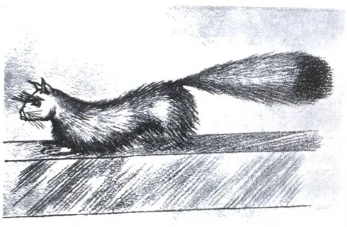 A Cryptozoologist's Field Guide: The A-Z of 50+ Legendary Cryptids 51 The Gef the Talking Mongoose