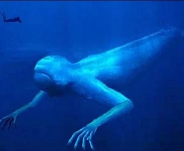 A Cryptozoologist's Field Guide: The A-Z of 50+ Legendary Cryptids 50 The Ningen