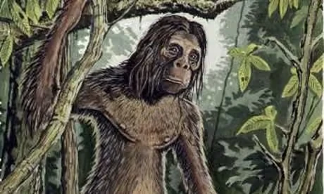 A Cryptozoologist's Field Guide: The A-Z of 50+ Legendary Cryptids 20 The Orang Pendek