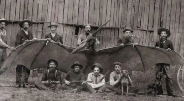 A Cryptozoologist's Field Guide: The A-Z of 50+ Legendary Cryptids 55 The Thunderbird Photograph