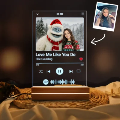 25+ Best Yeti Christmas Gifts for Believers (The Ultimate Guide) 21 Personalized Christmas Yeti Spotify Plaque LED Light Classic 1964 Stop-Motion Movie Custom Gift