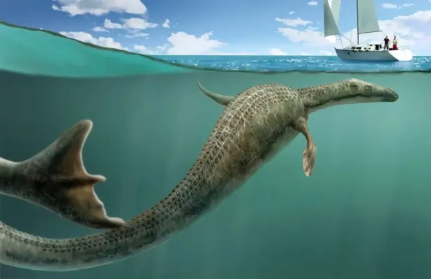 Cadborosaurus History, Evidence, and Sightings of BC's Serpent