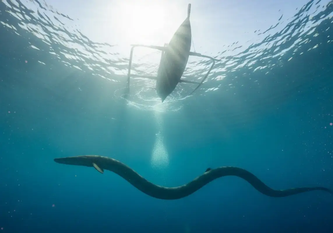 Underwater photography shot looking up towards the surface, a small fishing boat silhouette on top, a large serpentine creature swimming peacefully in the deep blue.